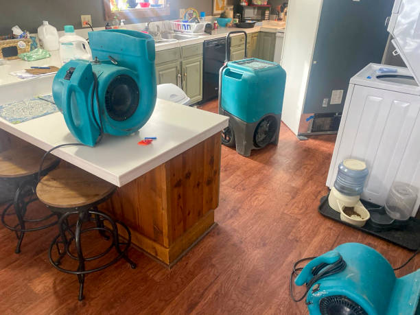 Best Mold removal after water damage  in Anchorage, KY