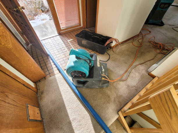 Best Local water damage restoration  in Anchorage, KY