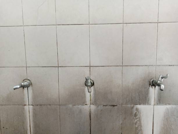 Best Flood damage cleanup  in Anchorage, KY