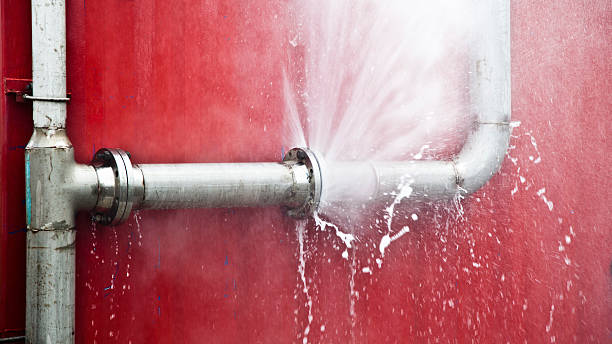 Best Water damage repair service  in Anchorage, KY