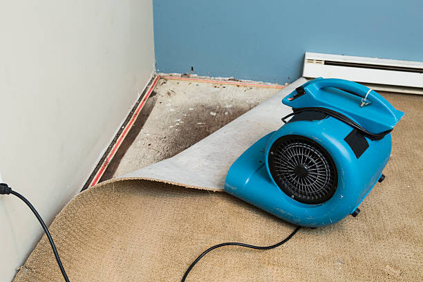 Best Professional water damage repair  in Anchorage, KY